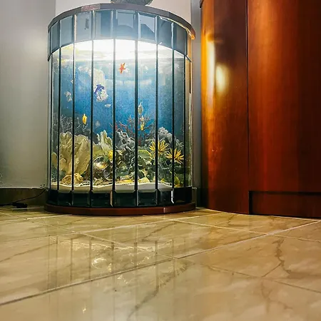 דירה Homevision - Spacious And Warm - Very *